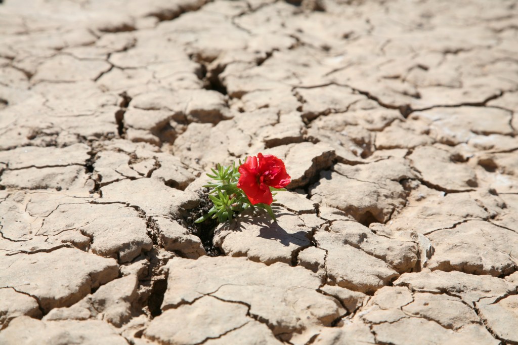 Une raison d&rsquo;espérer