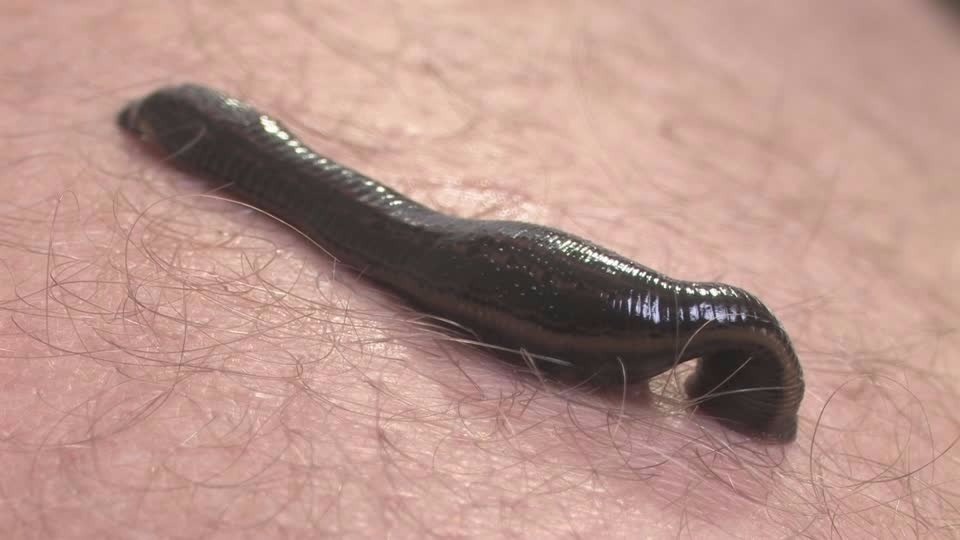 On reconnaît l&rsquo;arbre à ses&nbsp;fruits