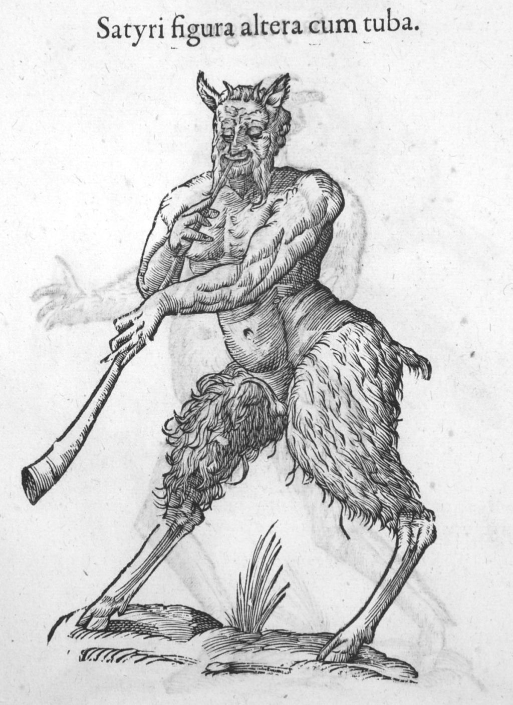 Je parlerai du physique de Dangelo Néard autant que je&nbsp;voudrai