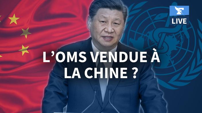 OMS : Donald Trump est un imbécile mais vous, quelle est votre excuse&nbsp;?